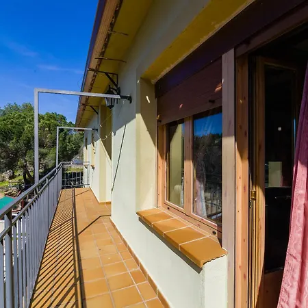 13 Ramas Las Cruceras