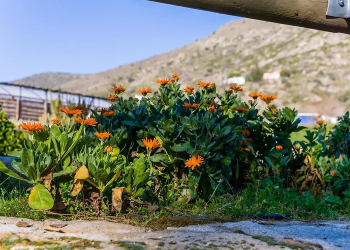 13 Ramas בית נופש Las Cruceras